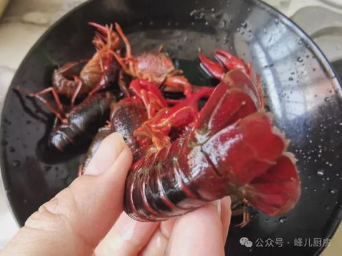 一個(gè)超級(jí)簡單的小龍蝦自制教程,讓你20元就能吃出68元的大餐味道